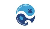 Blue Turtle Acupuncture Clinic
